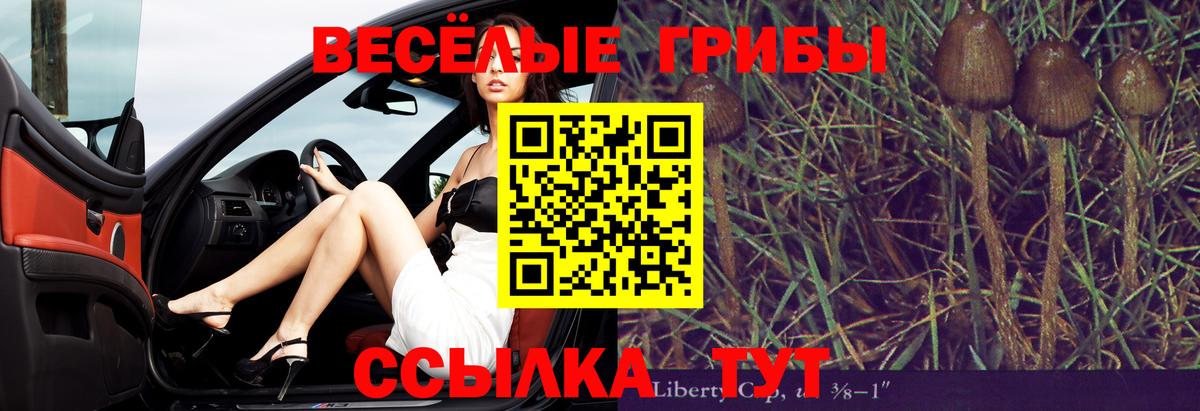 Галлюциногенные грибы Psilocybine cubensis  Вход с VPN  Чернушка 